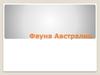 Фауна Австралии
