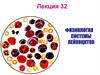 Физиология системы лейкоцитов