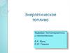 Энергетическое топливо