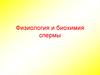 Физиология и биохимия спермы