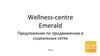 Wellness-centre Emerald. Предложение по продвижению в социальных сетях