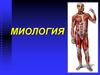 Миология. Мышечная ткань