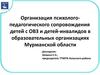 Организация психолого-педагогического сопровождения детей с ОВЗ и детей-инвалидов в образовательных организациях