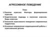 Агрессивное поведение