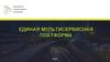 Единая мультисервисная платформа