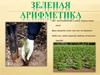 Зеленая арифметика
