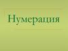 Общие вопросы изучения нумерации