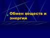 Обмен веществ и энергии. Анаболизм