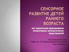 Сенсорное развитие детей раннего возраста