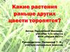 Какие растения раньше других цвести торопятся