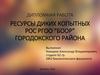 Ресурсы диких копытных РОС РГОО “БООР” Городокского района