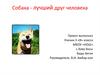 Собака - лучший друг человека