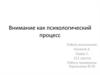 Внимание как психологический процесс