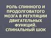 Роль спинного и продолговатого мозга в регуляции двигательных функций. Спинальный шок