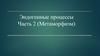 Эндогенные процессы. Часть 2 (Метаморфизм)