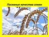 Посевные качества семян