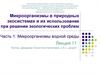 Микроорганизмы в природных экосистемах и их использование при решении экологических проблем. Микроорганизмы водной среды