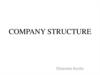 Company structure. Types of organizational structures