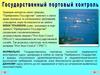Государственный портовый контроль