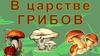 В царстве грибов
