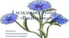 1 младшая группа «Васильки»