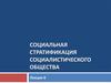 Социальная стратификация социалистического общества