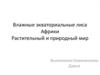 Влажные экваториальные лиса Африки. Растительный и природный мир