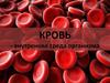 Кровь - внутренняя среда организма