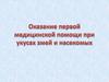 Оказание первой медицинской помощи при укусах змей и насекомых