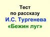 Тест по рассказу И.С. Тypгeнeвa «Бежин луг»