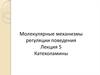 Молекулярные механизмы регуляции поведения. Катехоламины. (Лекция 5)
