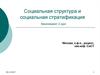 Социальная структура общества: основные подходы. Институциональная структура общества