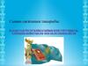 Қазақстан Республикасының Конституциясы, еліміздің бейбітшілік пен келісімінің негізі