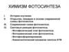 Химизм фотосинтеза