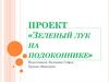 Проект «Зеленый лук на подоконнике»