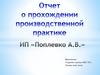 Отчет о прохождении практики. ИП «Поплевко А.В.»