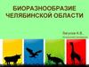 Биоразнообразие Челябинской области