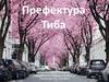 Префектура Тиба