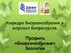 Кафедра биоразнообразия и морских биоресурсов. Профиль «Биоразнообразие». Зоология
