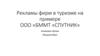 Рекламы фирм в туризме на примере ООО «БММТ «СПУТНИК»