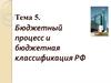 Бюджетный процесс и бюджетная классификация РФ. (Лекция 5)