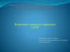 Вторичные элементы поражения СОПР