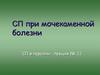СП при мочекаменной болезни
