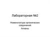 Номенклатура органических соединений. Алканы