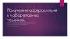 Получение азокрасителя в лабораторных условиях