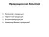 Продукционная биология