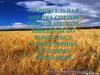 Сравнительная оценка сортов яровой мягкой пшеницы по комплексу хозяйственно полезных признаков