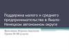 Поддержка малого и среднего предпринимательства в Ямало-Ненецком автономном округе