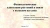 Физиологические адаптации растений в связи с выходом на сушу