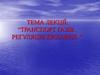 Транспорт газів. Регуляція дихання